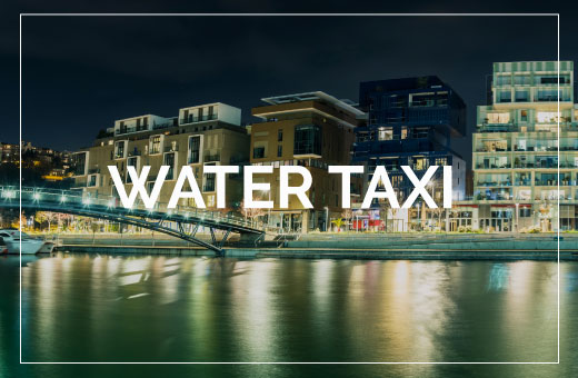 Water Taxi lyon